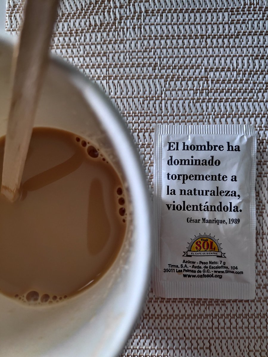 "El hombre ha dominado torpemente a la naturaleza, violentándola"
César Manrique