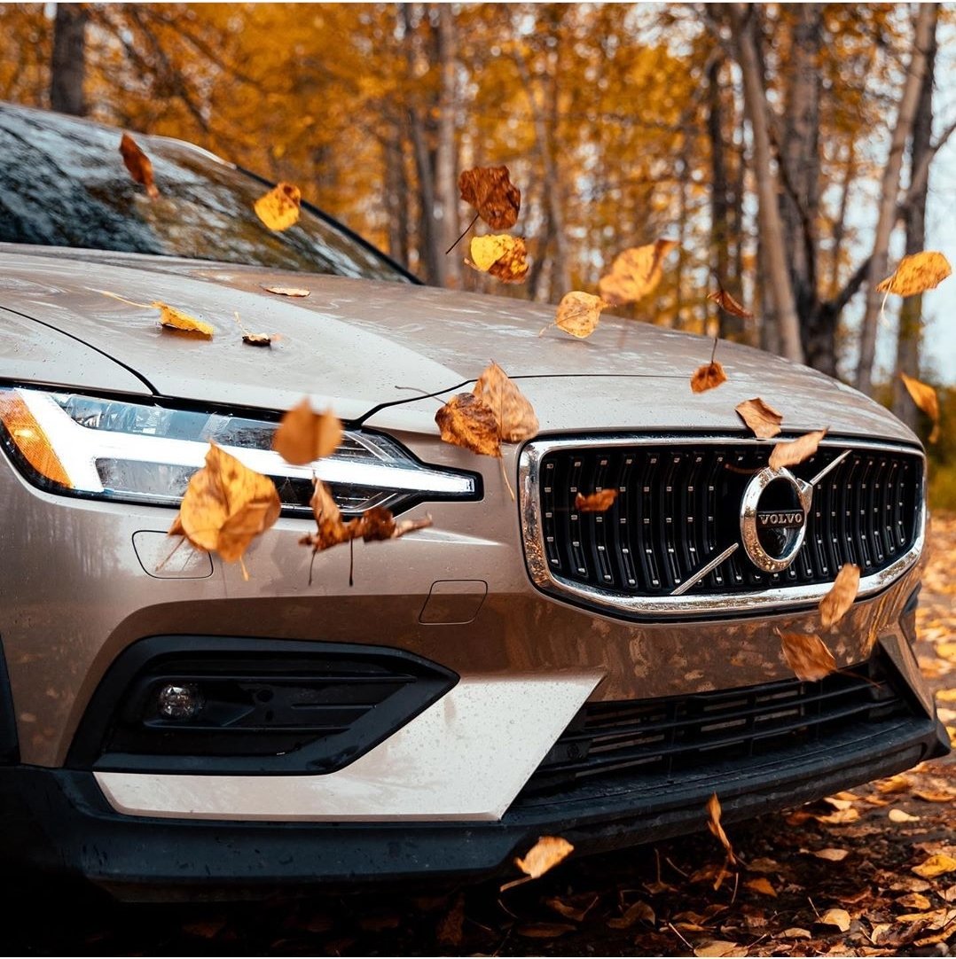 Fall is officially here. Never a better time to get into a #Volvo. #Yeg #Edmonton
