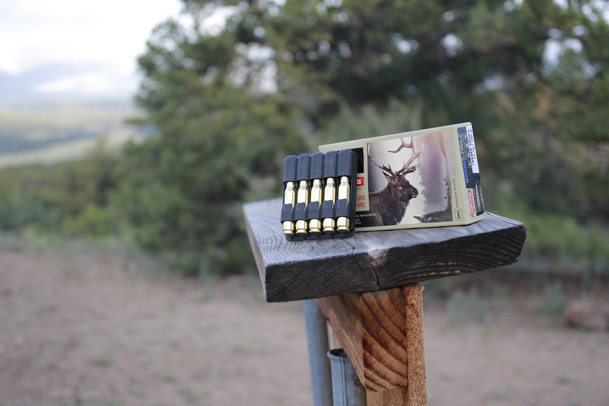 normaprecision's tweet image. What and where are you hunting this season? 

Find a dealer: ow.ly/Eer150wG9UA
#normabondstrike #bondstrike #normahunting