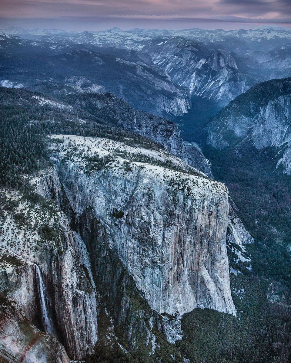 jimkchin tweet picture