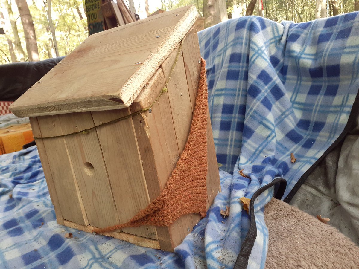 Bird Air B&amp;B #HambacherForst #hambibleibt