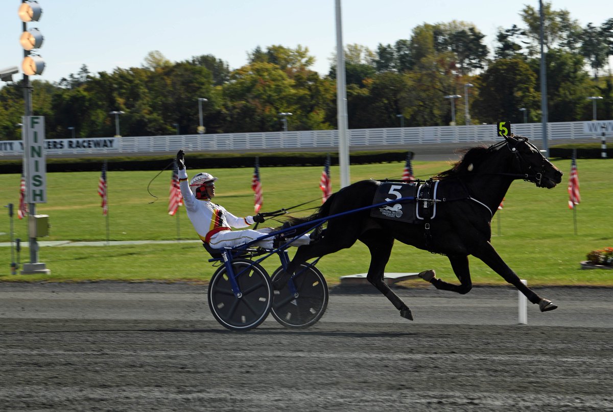 FORNIGrard1's tweet photo. ZACON GIO : INTERNATIONAL TROT 2019 a YONKERS
Forza Italia et une seule ligne en Europe : ZACON GIO. FACE TIME BOURBON! https://t.co/YFI3tjIsyc