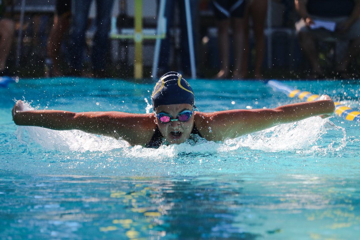 SUHSyearbook's tweet photo. Sutter high school swim team captured by @suhsyearbook
#perfectlighting #excellentcapture
.
See more by ordering the 2020 yearbook:
https://t.co/pv8mzSbIEK, school code 7076
.
.
.
#swim #swimteam #goldandwhite #huskies #suhsyearbook #yearbook #suhs #sutterhigh #sutter https://t.co/uHXkvOBbl9