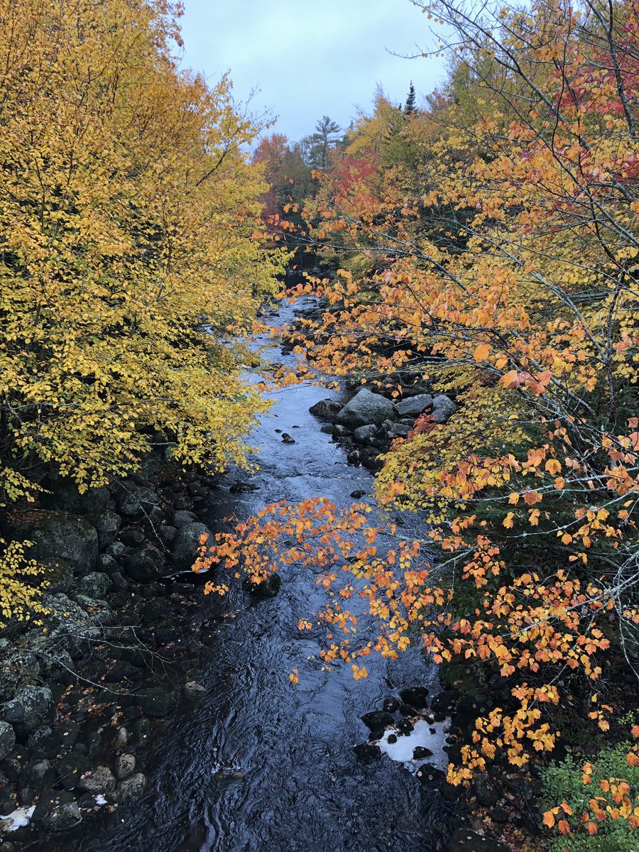 BJDSEA's tweet image. Fitzroy River looking good! Thankful to be on a trail with these dudes today. #HappyThanksgiving #Hubbards