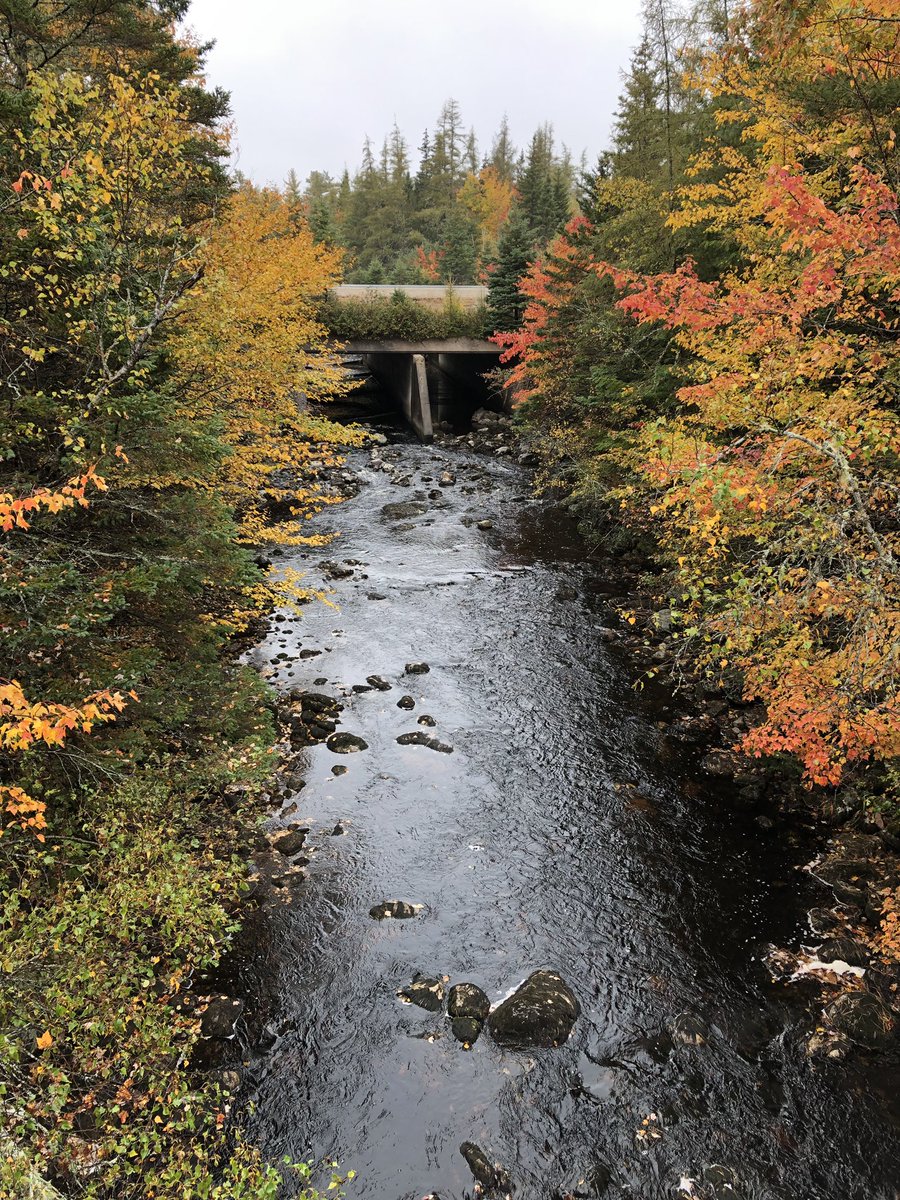 BJDSEA's tweet image. Fitzroy River looking good! Thankful to be on a trail with these dudes today. #HappyThanksgiving #Hubbards