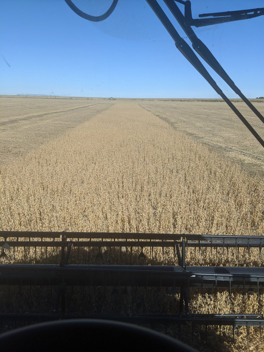 Nathan68937's tweet photo. Beans 2019 done https://t.co/RrucXoMEhV