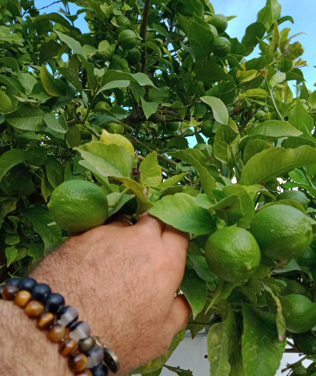 ،،،،،⁦🇹🇳⁩⁦🇹🇳⁩⁦🇹🇳⁩⁦🇹🇳⁩⁦🇹🇳⁩⁦🇹🇳⁩⁦🇹🇳⁩