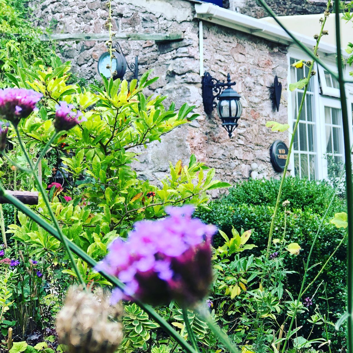 @WindchimesH fills up quickly in high season. Bows a good time to book for next year. You can do so via website!#Devon #break #holidays #Travel #solotravel #cottagesforcouples @RomanticRetreat @homeaway @Airbnb @TripAdvisorUK @VisitDevon @GuardianTravel
