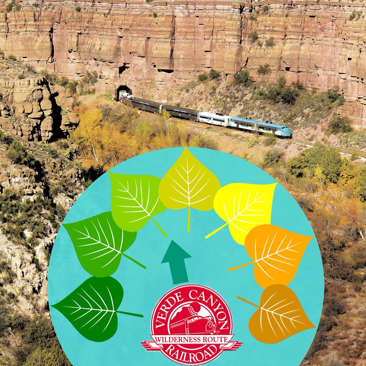 VerdeCanyonRail's tweet photo. #CanyonColormeter: Verde Canyon is going for the gold! Cool nights are bringing the first blush of autumn to our wild riparian canyon. Join us for #FallColorTours now through Thanksgiving. #AutumnInAZ https://t.co/EYpKvEC6YL