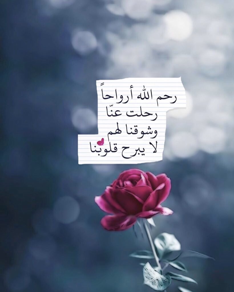 al_moozn's tweet photo. ولي تحت التّراب عزيز قدرٍ .. 
عزائي طيبه أبدًا عزائي  .. 

وأذكره ولا أنساه يومًا .. 
فقيدي في الصّباح وفي المساءِ 

لئنْ وصلت هدايا الناس يبقى 
دعائي خير ما أهدي دعائي 🍃  
#ومضة_حرف https://t.co/WPIYu3U99W