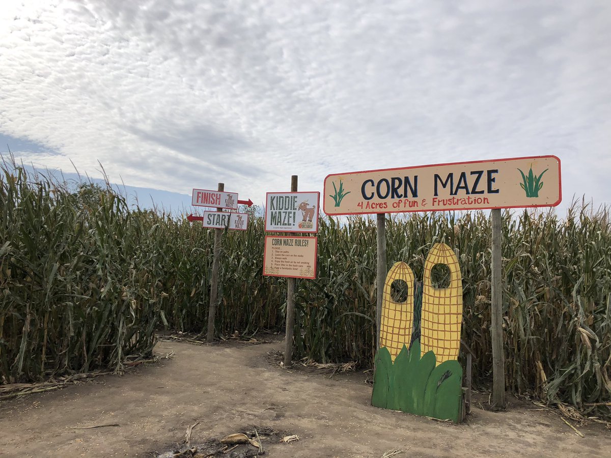 Daren Mueller tweet media