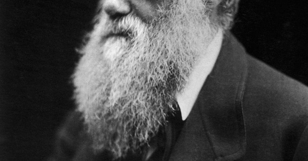 PopSci's tweet photo. Charles Darwin wrote enough one-liners to fill a burn book https://t.co/jn7cFX1vSY https://t.co/ed7LpevFYD