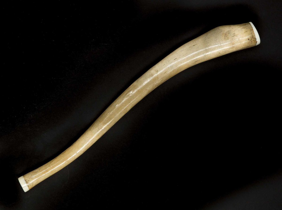 RGeirsson's tweet photo. You know you’ve discovered the True Meaning of Life when you spend a good portion of your Saturday researching the imagery of oosiks and other Arctic bacula #baculum #penilebone #oosik #WeekendWisdom https://t.co/zpokZe17vB