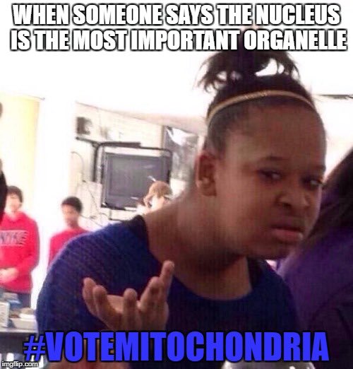 ChondriaMacho's tweet photo. @Bio2019Frazee #organellewars https://t.co/ijjDlkTi4q