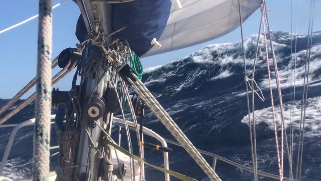 randallreeves8's tweet photo. Surefoot’s Gale https://t.co/qMnaymAB3B https://t.co/z3U2BOQCs9