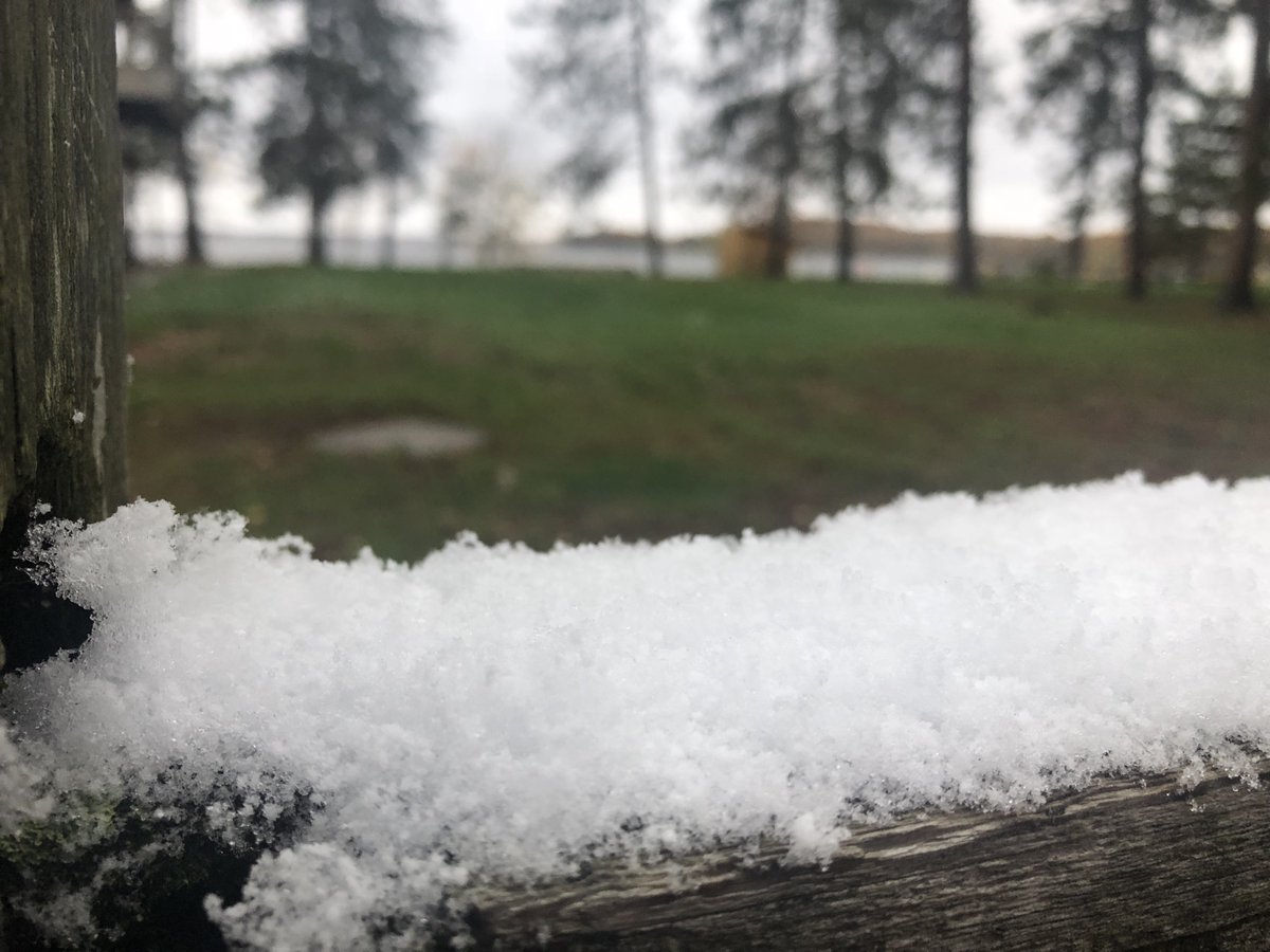 bigsandycamp's tweet photo. The first snow of the season couldn’t have come at a better time! Keep an eye out for Avalanche registration opening next week. Exact dates and registration links will be posted on our website. https://t.co/K6YzCWcodz