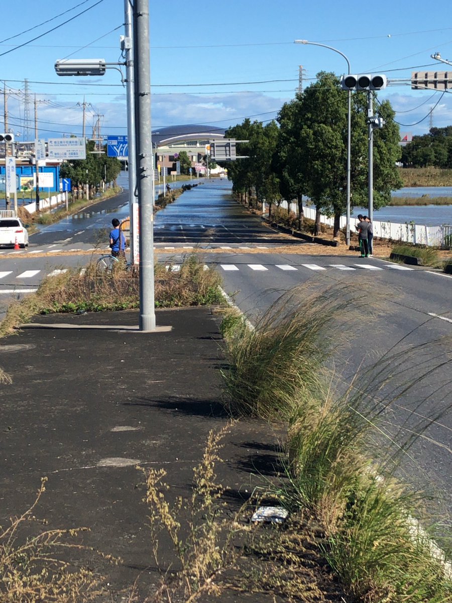 しげぱん 保留中 ピオニウォーク行けない しげぱん 保留中 ピオニウォーク行けない