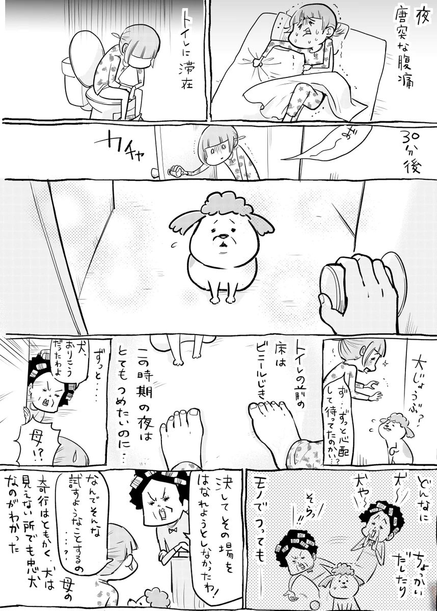 突然の腹痛も犬と猫が心配してくれるから乗り越えられる！