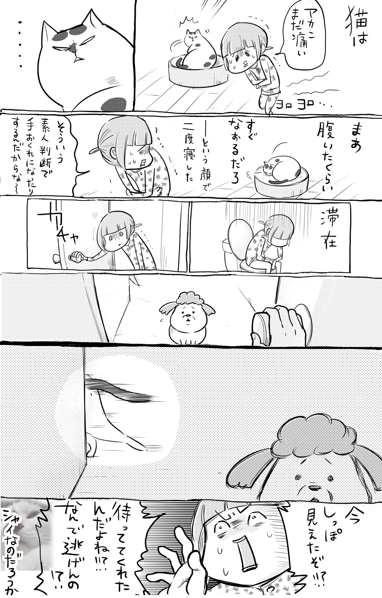 突然の腹痛も犬と猫が心配してくれるから乗り越えられる！