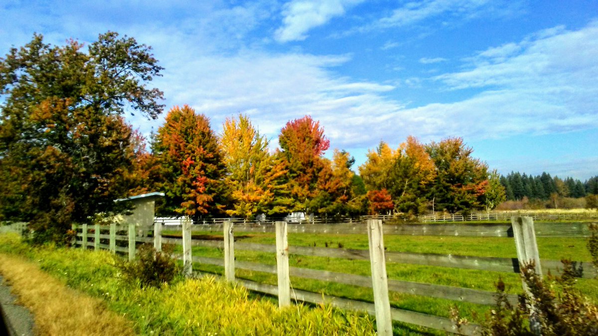 RavenLunachick's tweet photo. #Backroading ๐ https://t.co/pUaTmfB8y4