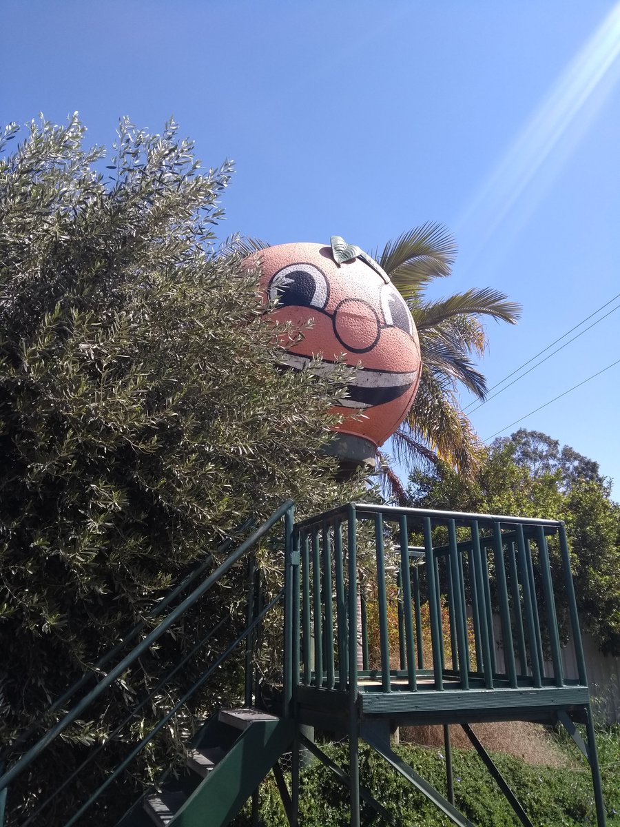 BigAussieThings's tweet photo. We thought we'd run out of juice but we made it all the way to #OrangeWorld. #BigOrange #Mildura #bigthingsdownunder #bigthingsofaustralia #bigthingsaustralia #bigthingsofvictoria #visitvictoria #victoria #australia #seeaustralia #roadsideattractions https://t.co/tK95LcILMv
