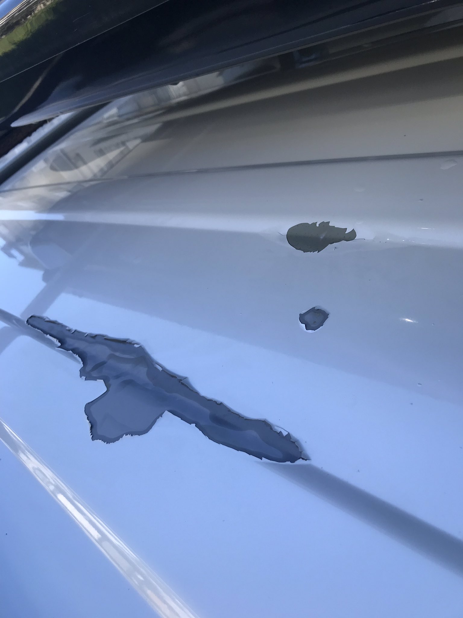 Tweets With Replies By Claim Mar Claimmar Twitter