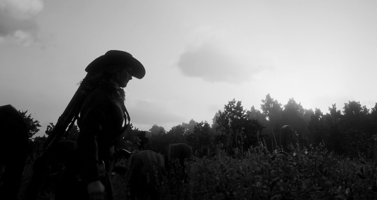 #RedDeadRedemption2 #RedDeadOnline #RDR2 #Photos del día por el mundo de Red Dead.