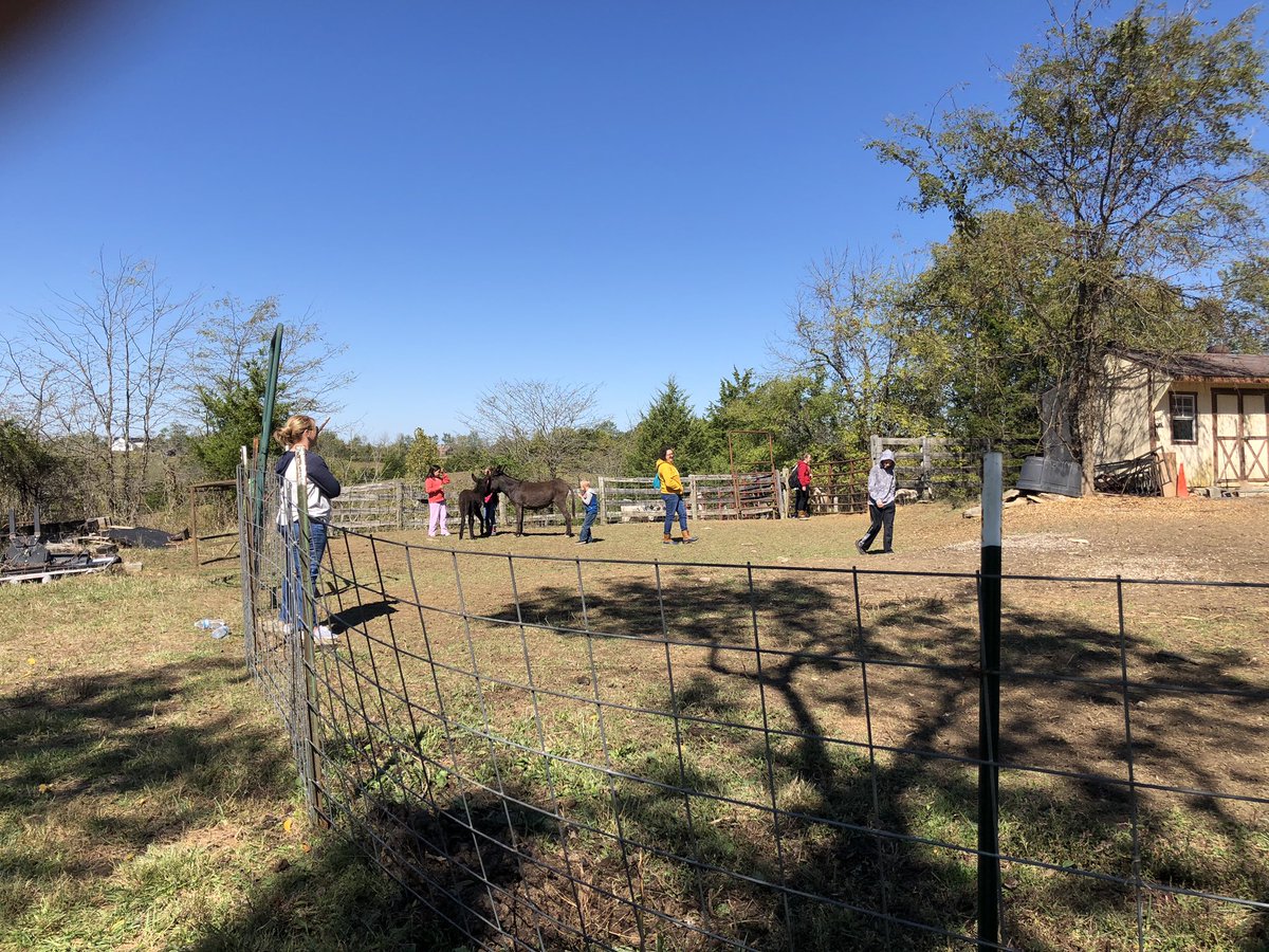 ChrisJohnsonDoz's tweet photo. Great time today at Glory Hills Farm Fall Festival for foster & adoptive families! Thanks to #ACEMinistries & @OCAkids for loving on these awesome families! Thanks also to the churches & community partners that helped make it happen! @oca_darren @bryanaceky @GovMattBevin https://t.co/BLqSDwTFjM