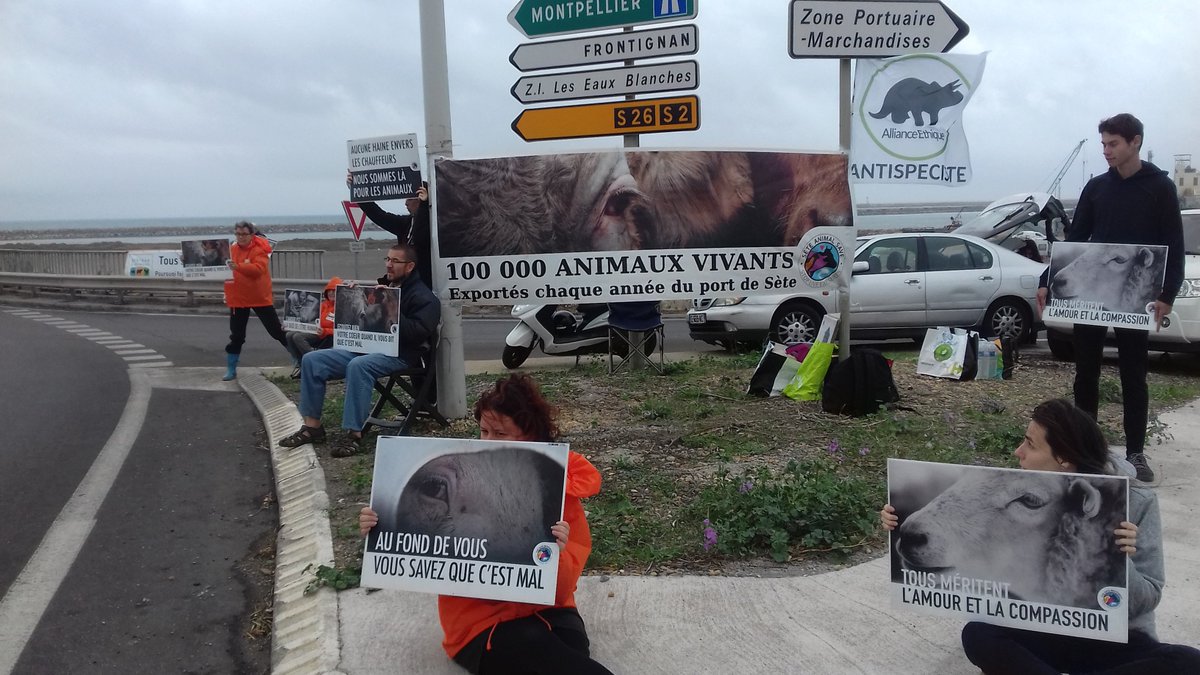Marée basse Ⓥ 🐝 🥕 😐 tweet media