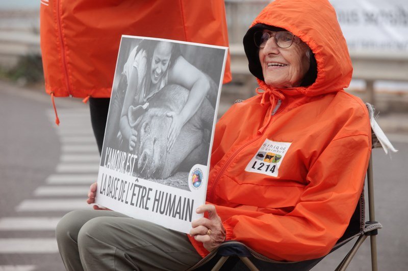 Marée basse Ⓥ 🐝 🥕 😐 tweet media