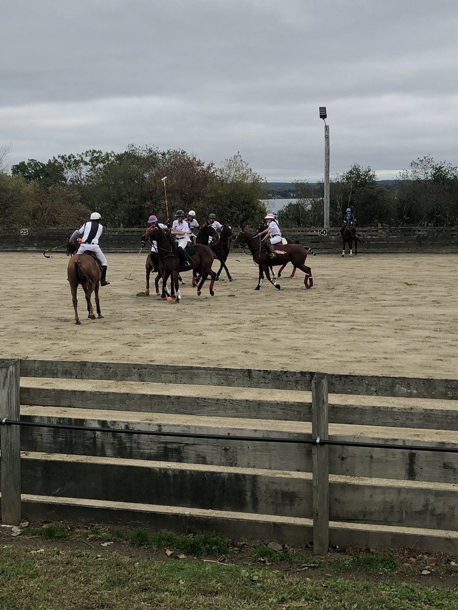 Synergy_Solutio's tweet photo. After 2 Chukkas, Team Synergy Solutions Today is up 4-2 with 2 still to play. Minnie, Luke, and Anna are the most balanced team we have seen today. Great defensive play. https://t.co/gZGBoNsROn