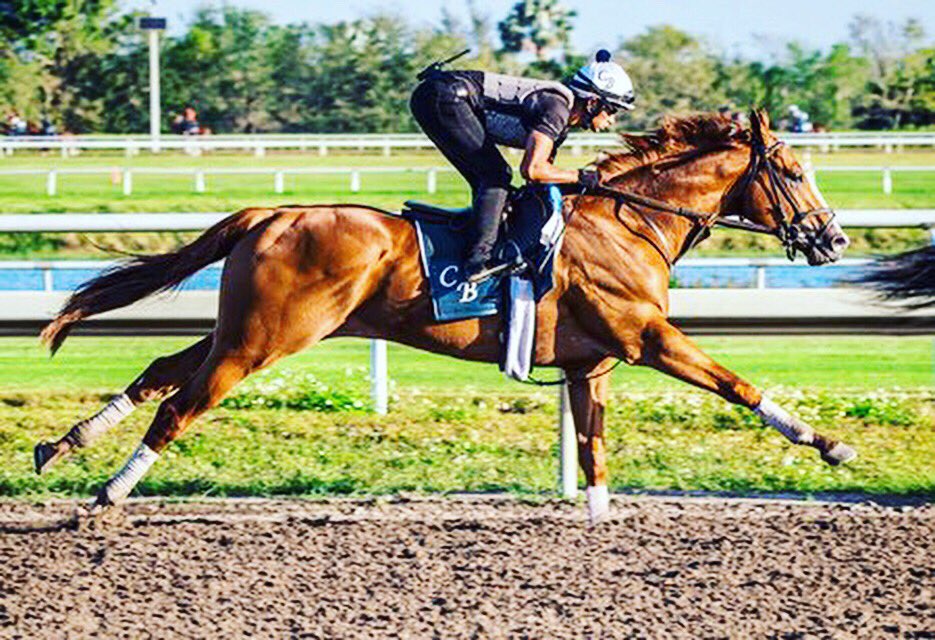 Amy Stokes tweet media