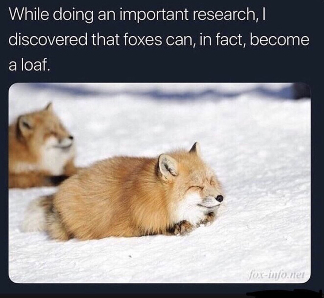 Lucinda Hurst | TFF tweet media