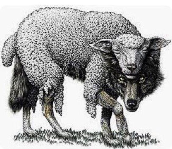 xenophrenia's tweet image. being a trojan horse at the Democratic convention so the establishment can place their own corporate prostitute in on the 2nd ballot  #ElizabethWarrenHasAPlanFor