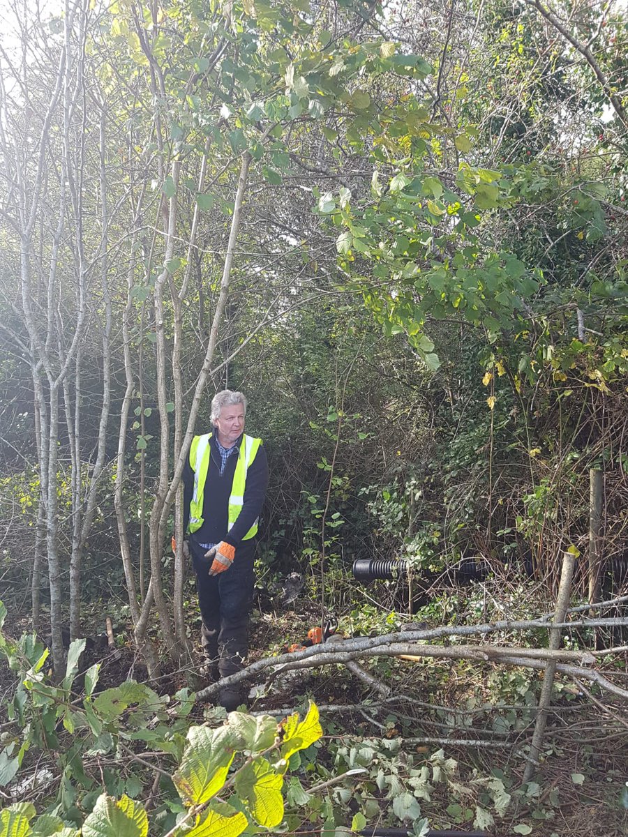 BioDataCentre's tweet photo. There's no doubt about it. Our #workshop participants today went home with a newfound respect for the craft and skill involved in laying and managing healthy #hedgerows. HUGE thanks to Joe and  @hedgelayingie for leading a great workshop. #SummerAutumn2019 #WorkshopProgramme https://t.co/NmDJVpYet8