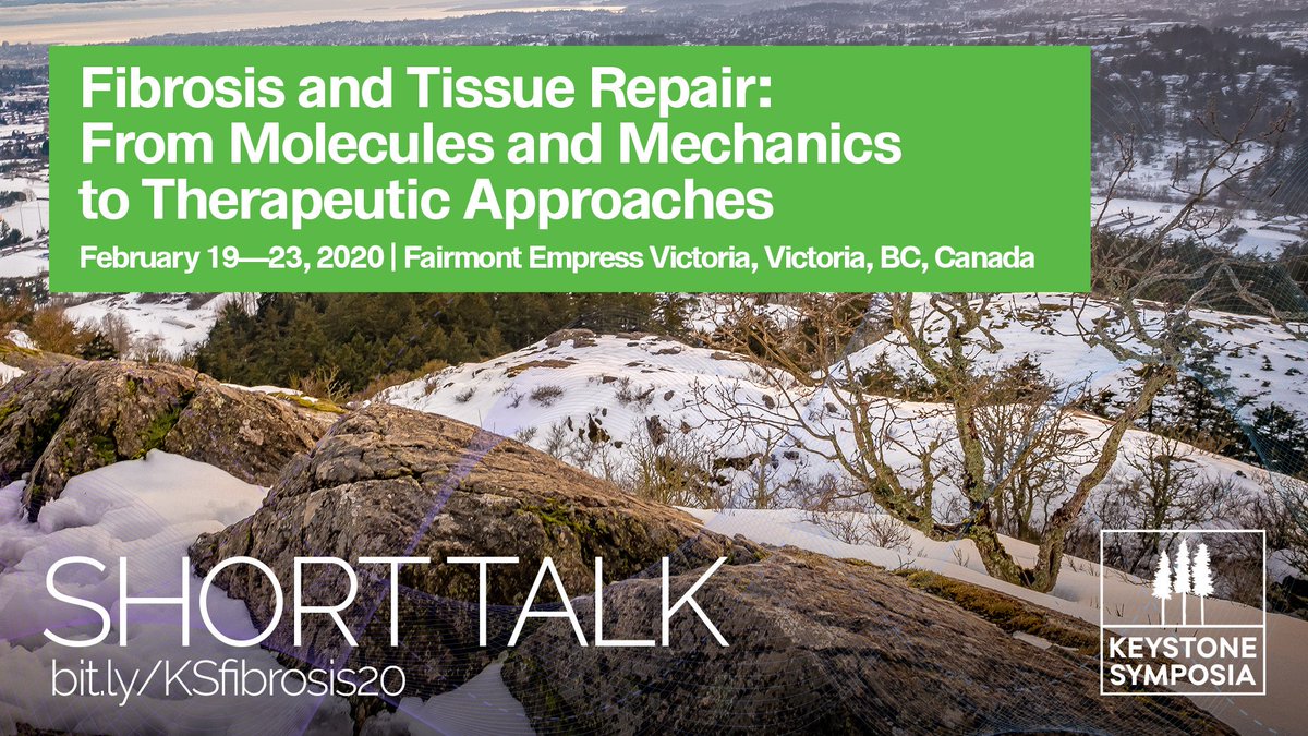 Sonia Chothani (@soniachothani) on Twitter photo Honored by the invitation to give a Short Talk at <a href="/KeystoneSymp/">Keystone Symposia</a> "Fibrosis and Tissue Repair: Molecules to Therapeutics." Come explore the frontiers of #fibrosis research in #VictoriaBC.
ahajournals.org/doi/full/10.11โฆ
bit.ly/KSfibrosis20 #KSfibrosis Honored by the invitation to give a Short Talk at <a href="/KeystoneSymp/">Keystone Symposia</a> "Fibrosis and Tissue Repair: Molecules to Therapeutics." Come explore the frontiers of #fibrosis research in #VictoriaBC.
ahajournals.org/doi/full/10.11โฆ
bit.ly/KSfibrosis20 #KSfibrosis