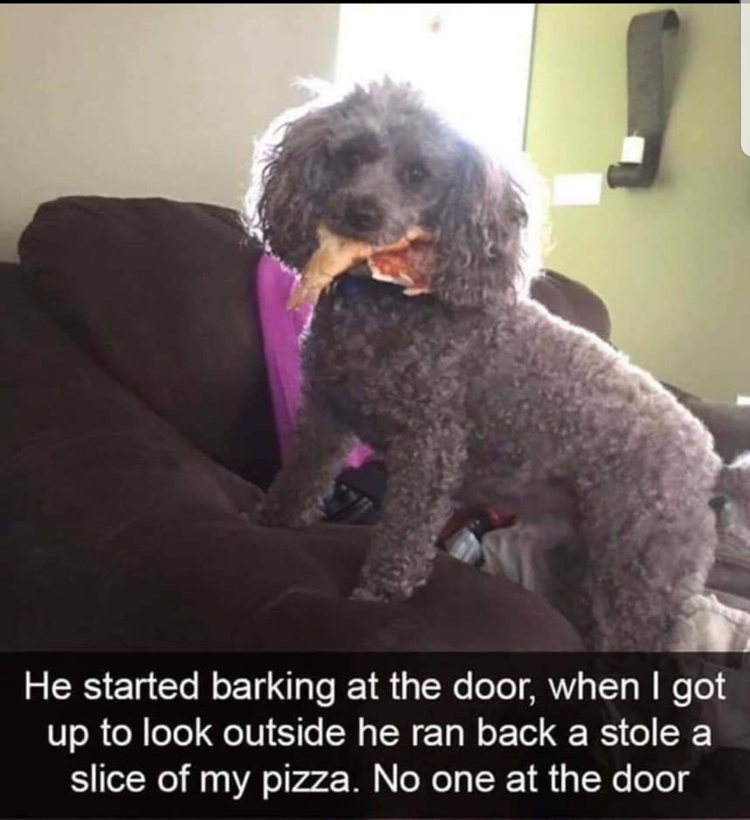MoreRescue's tweet photo. https://t.co/guBqT9VhqD