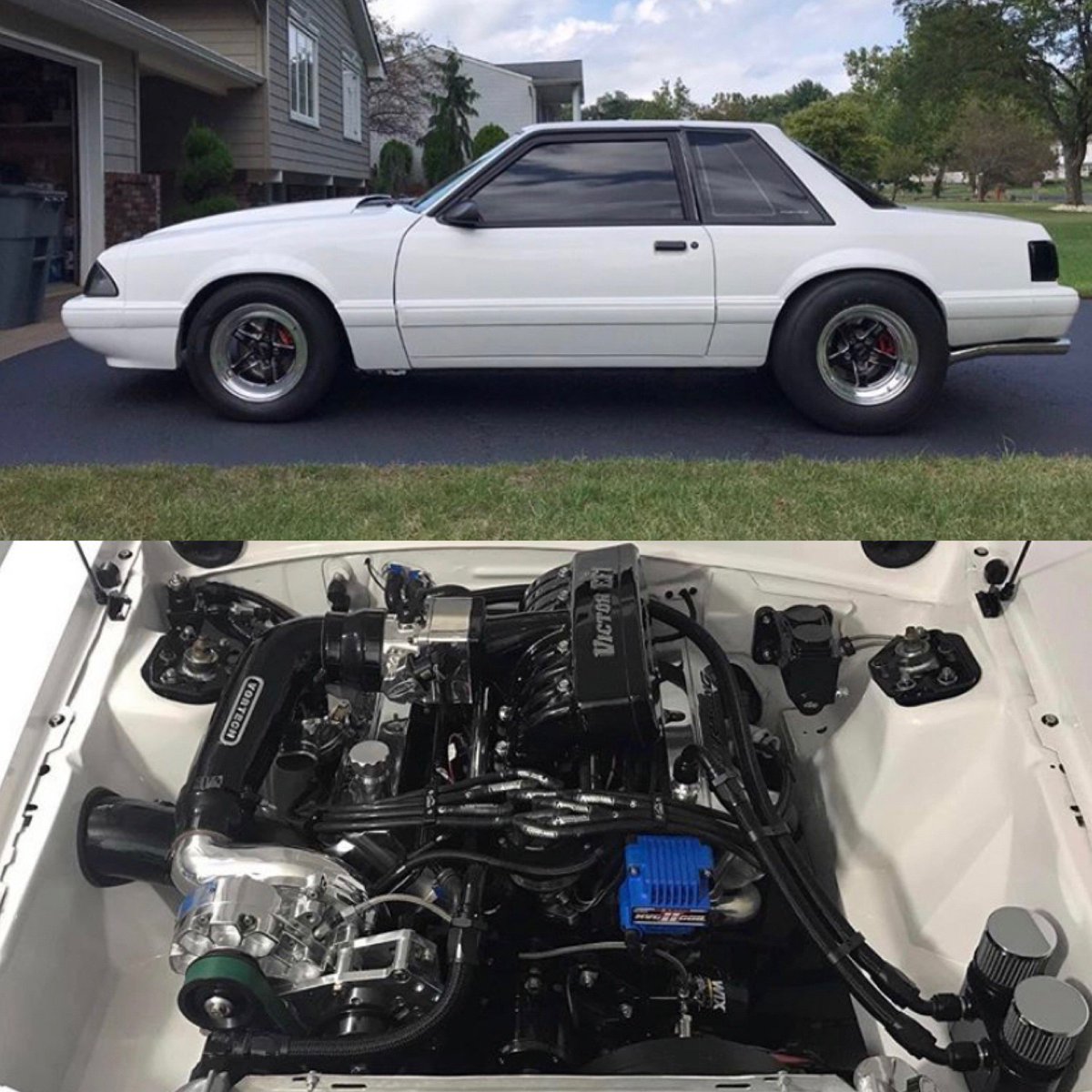 GatesNAmerica's tweet photo. This might be the cleanest Fox Body out there! 🦊🦊🦊
.
📸: @VortechEng
🏎️: jeffrey9872 (IG)
.
.
#GatesRPM
#GatesBelts | #Gates | #DrivenByPossibility | #FastCars | #SportsCars | #MuscleCars | #Boost | #Boosted | #BoostLoading | #Mustang | #FoxBody | #VortechSuperchargers https://t.co/6RqL4w4Jpq