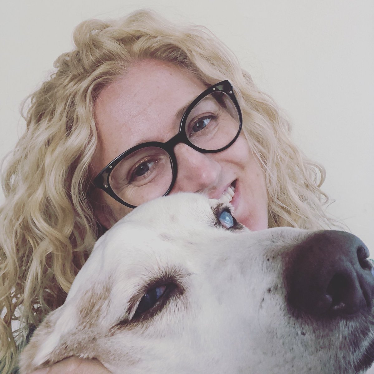 k_westphaln's tweet photo. When #procrastination & #mindfulness collide..... #SaturdaySnuggles #BassetsAreTheBest #DroopyGrouper #HugAHound #PostdocLife @cwru @CTSC_Cleveland @BassetHounds_ @bassethoundlove https://t.co/4mYyBWxibH