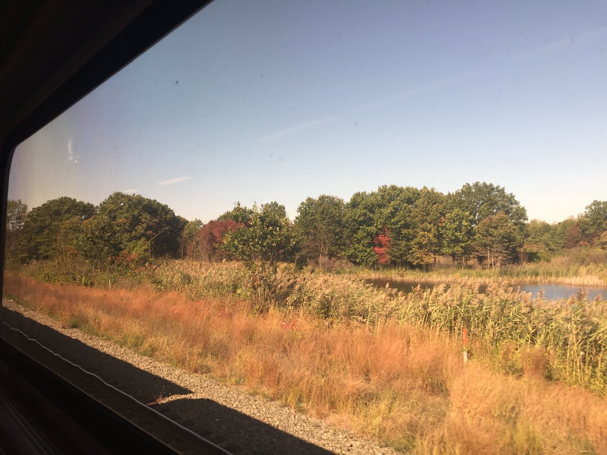 I rode the train home from <a href="/midwestUX/">MidwestUX</a>, my last conference of 2019, and listened to Bon Iver and thought about how amazing and unexpected this last year has been, since I quit my part-time teaching job to focus all my free time on my work on tech-facilitated domestic violence.