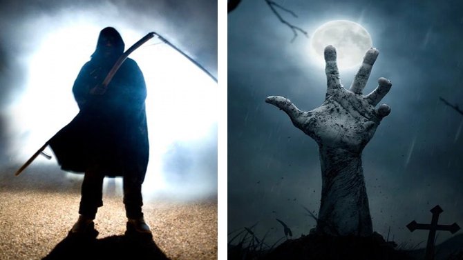 The BIG Sheep tweet media