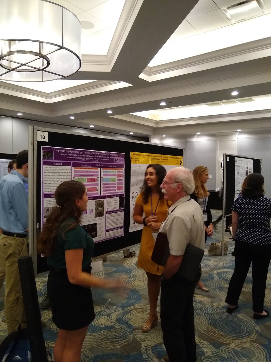 karyna_rosario's tweet photo. Our summer interns in action presenting their research at the poster session #FLASM2019 @USFCMS https://t.co/Fanm3Qp4r8