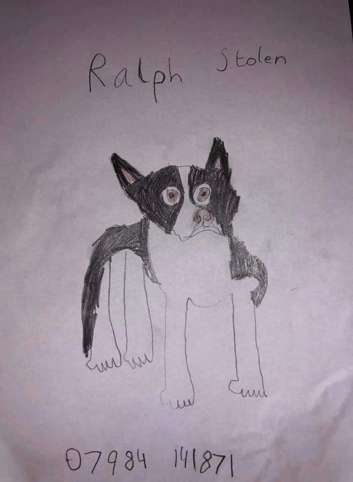 HunnyJax's tweet photo. #BringRalphHome 🙏🙏🙏🙏🐾💔 
👀👀🔽🔽 
Even More Appealling Letters &amp; Photos  😍💔🐾 
in Support for Ralph's 💔 Family https://t.co/hWrwgBeE0K