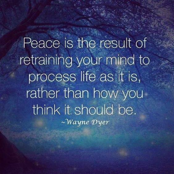 SuperMiio82's tweet photo. Train your mind to see and feel only peace and love โก
Don't forget you are a spirit in a human body and happiness, love and peace are your birthright โก
#peace #feelpeace #happiness #itallstartswithyou https://t.co/Gq4sPTCZR2