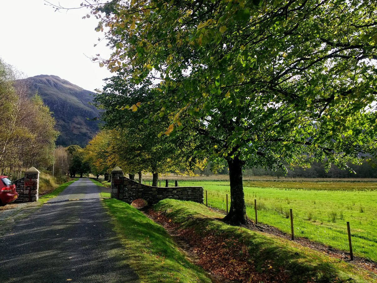 Christo62555251's tweet photo. Autumn light near #Killilan in #Lochalsh https://t.co/ASdfv5KzkC