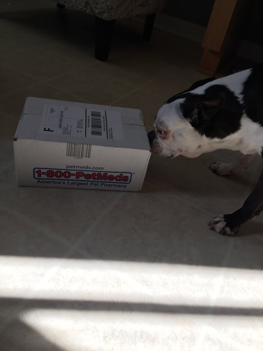 bcooper002 tweet picture