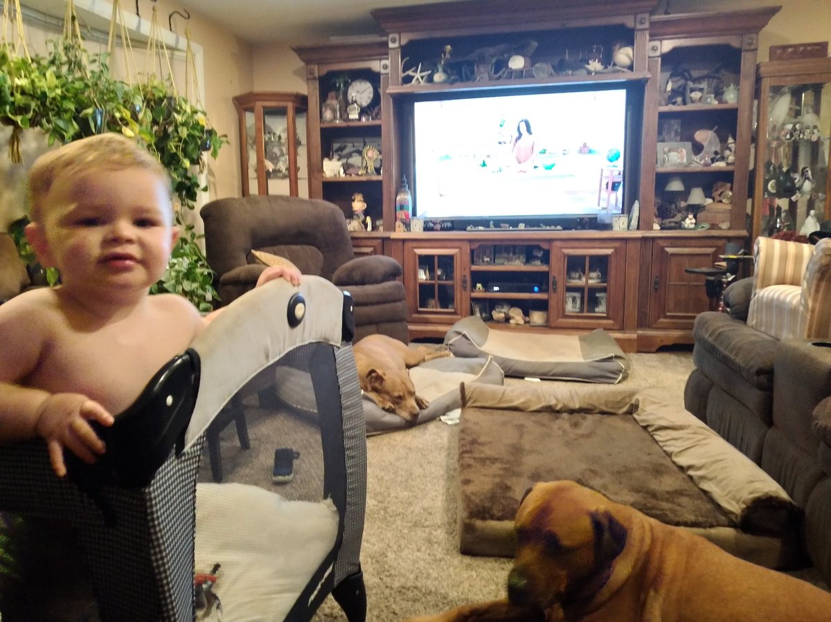 mrsdoherty2012's tweet photo. @PascoSheriff  checking in for the #9PMRoutine with my watch party my son is wide awake for tonight's show https://t.co/JLIjhgnJCo
