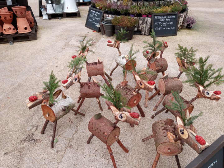 Russellh1973's tweet photo. Saw a herd of reindeer today, just off the #A9 😁 https://t.co/yMAWpzORKv