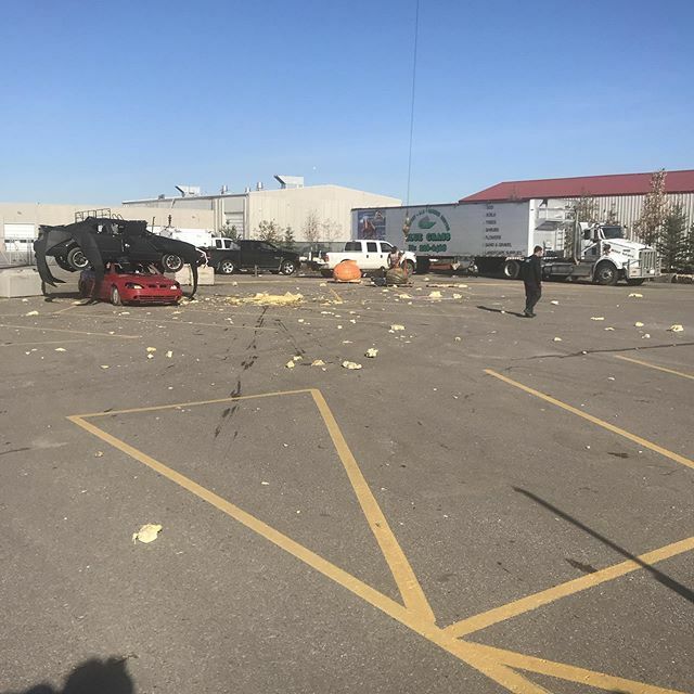 BagFather's tweet photo. Pumpkin 2 is full of ping pong balls. I’ll go live https://t.co/7USoheb5Gs