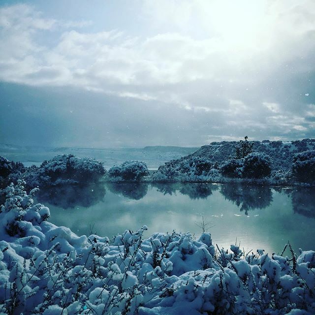 RedRefletRanch's tweet photo. Red reflet expressing another color in the snow-a lovely shade of beautiful❄️ https://t.co/BFmHamcoCy https://t.co/HbLYmkEiZt